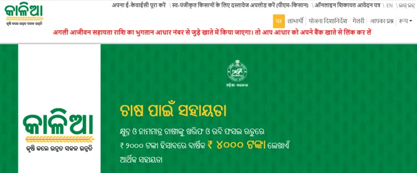 Kalia Yojana New List Check STEP-1